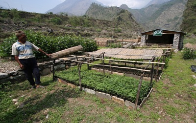 ナルチャン村の苗畑